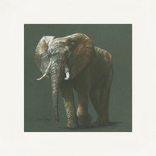 Load image into Gallery viewer, Esther Grey