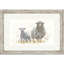 Load image into Gallery viewer, Ewe Beauties