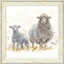 Load image into Gallery viewer, Ewe Beauties