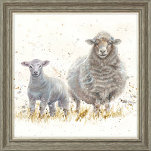 Load image into Gallery viewer, Ewe Beauties