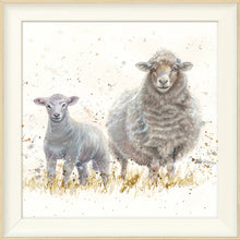 Load image into Gallery viewer, Ewe Beauties