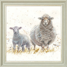 Load image into Gallery viewer, Ewe Beauties
