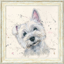 Load image into Gallery viewer, Fergal