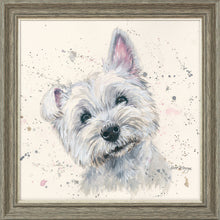 Load image into Gallery viewer, Fergal