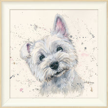 Load image into Gallery viewer, Fergal