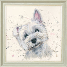 Load image into Gallery viewer, Fergal