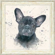 Load image into Gallery viewer, Fifi