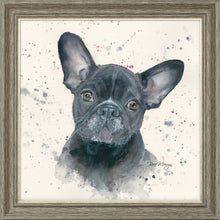 Load image into Gallery viewer, Fifi