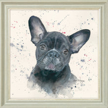 Load image into Gallery viewer, Fifi