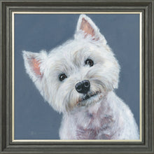 Load image into Gallery viewer, Finley