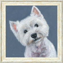 Load image into Gallery viewer, Finley