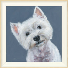 Load image into Gallery viewer, Finley