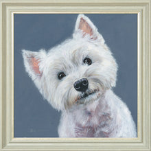 Load image into Gallery viewer, Finley