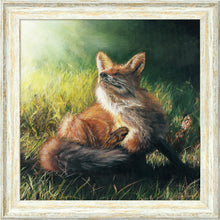 Load image into Gallery viewer, Finn