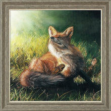 Load image into Gallery viewer, Finn