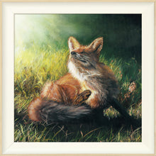 Load image into Gallery viewer, Finn