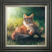 Load image into Gallery viewer, Finn