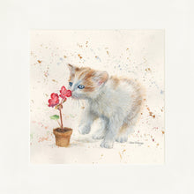 Load image into Gallery viewer, Fizz