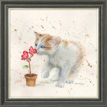 Load image into Gallery viewer, Fizz