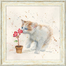 Load image into Gallery viewer, Fizz