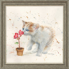 Load image into Gallery viewer, Fizz