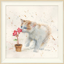 Load image into Gallery viewer, Fizz