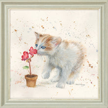 Load image into Gallery viewer, Fizz