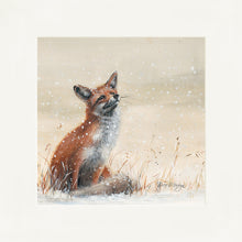 Load image into Gallery viewer, Foy
