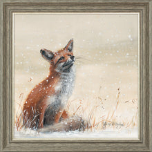 Load image into Gallery viewer, Foy