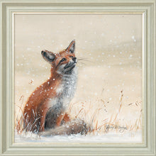 Load image into Gallery viewer, Foy