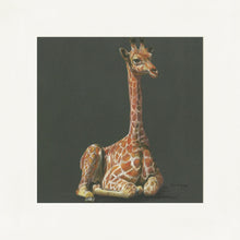Load image into Gallery viewer, Giselle Grey