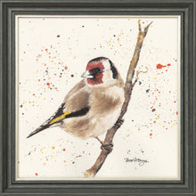 Load image into Gallery viewer, Gordon