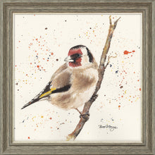 Load image into Gallery viewer, Gordon