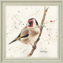 Load image into Gallery viewer, Gordon