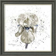 Load image into Gallery viewer, Grey Iris