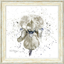 Load image into Gallery viewer, Grey Iris