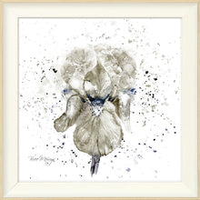 Load image into Gallery viewer, Grey Iris