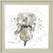 Load image into Gallery viewer, Grey Iris