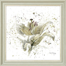 Load image into Gallery viewer, Grey Lily