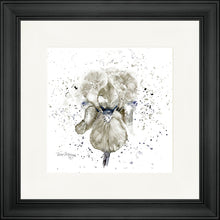 Load image into Gallery viewer, Grey Iris