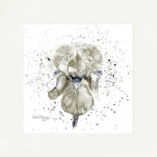 Load image into Gallery viewer, Grey Iris