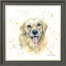 Load image into Gallery viewer, Gwenn