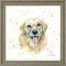 Load image into Gallery viewer, Gwenn