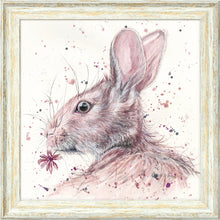 Load image into Gallery viewer, Halle