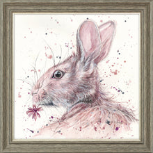 Load image into Gallery viewer, Halle