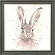 Load image into Gallery viewer, Halo