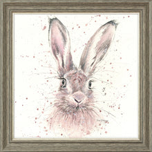 Load image into Gallery viewer, Halo