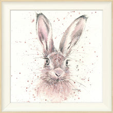 Load image into Gallery viewer, Halo