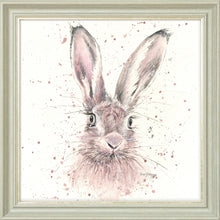 Load image into Gallery viewer, Halo