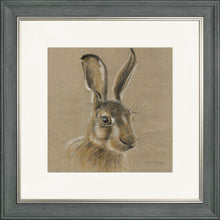 Load image into Gallery viewer, Harvey